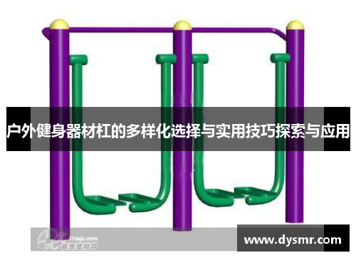 户外健身器材杠的多样化选择与实用技巧探索与应用