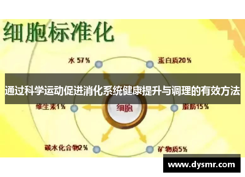 通过科学运动促进消化系统健康提升与调理的有效方法