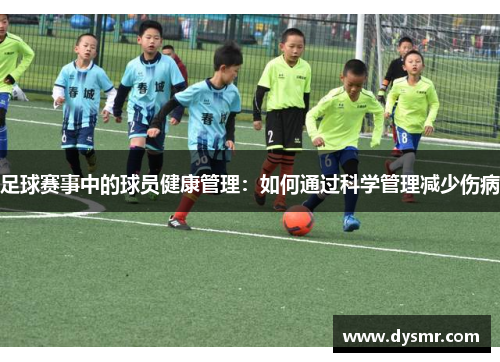 足球赛事中的球员健康管理：如何通过科学管理减少伤病